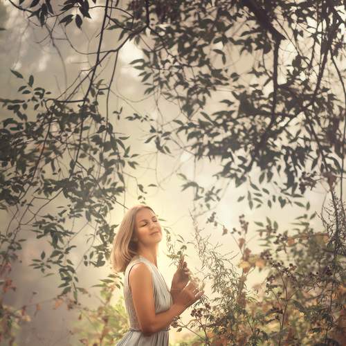 Photo #8553171