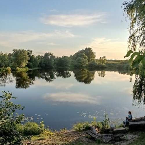 Photo #8553172
