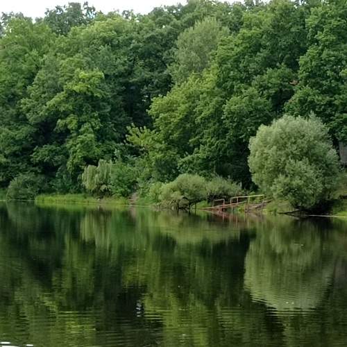 Photo #8553185