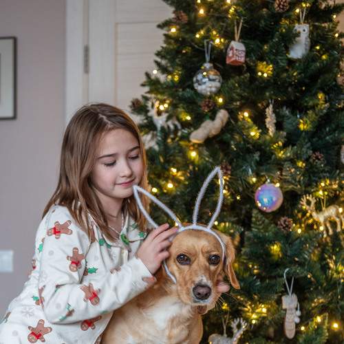 Photo #8553385