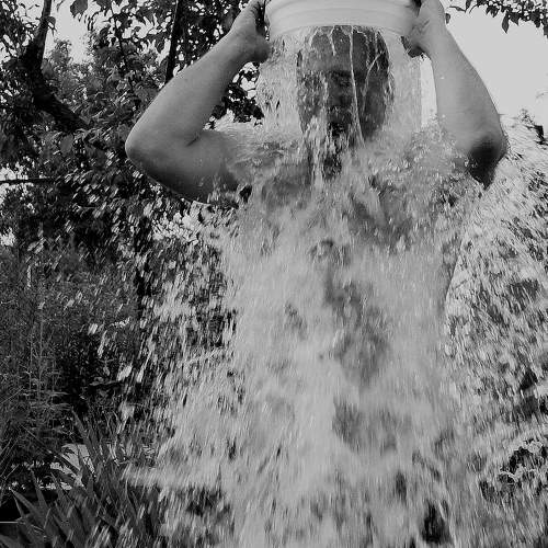 Photo #8553396