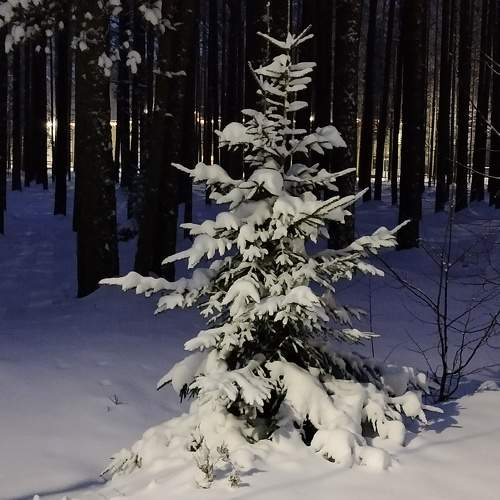 Photo #8553940