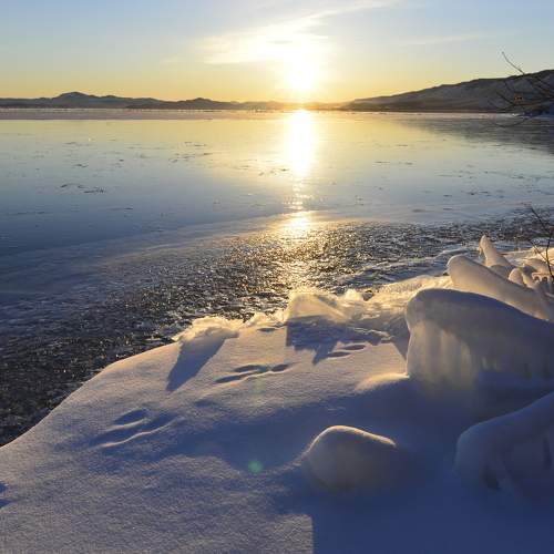 Photo #8553986