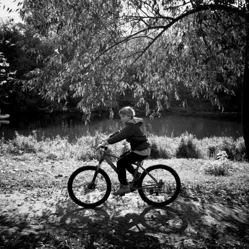 Photo #8554096