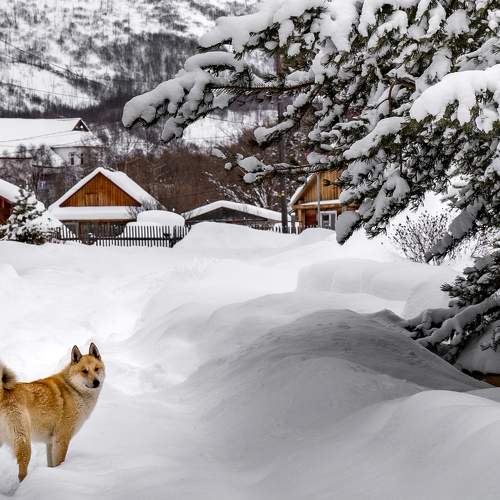 Photo #8554221