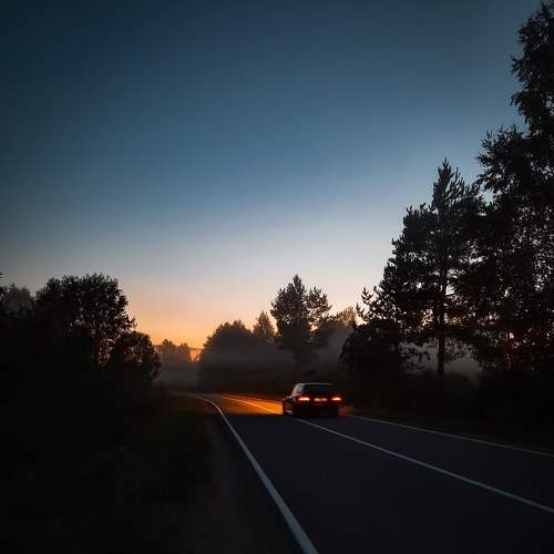 Photo #8554519