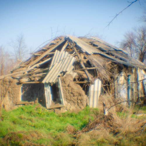 Photo #8554553