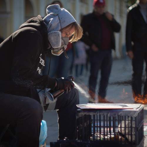 Photo #8554953