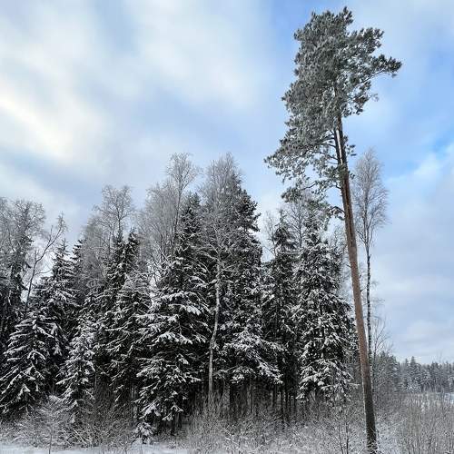 Photo #8555142