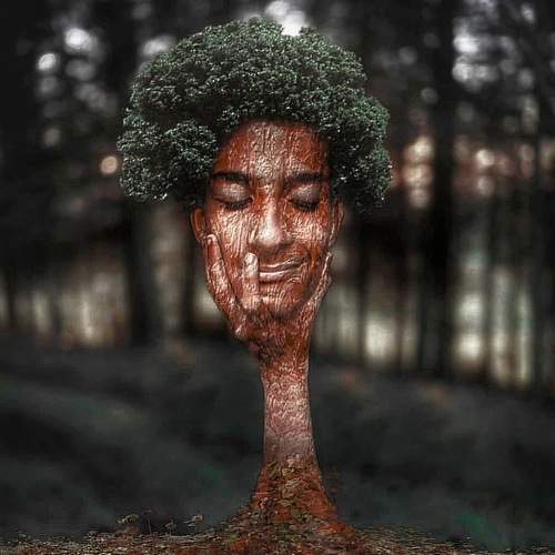 Illusion Manipulation Art