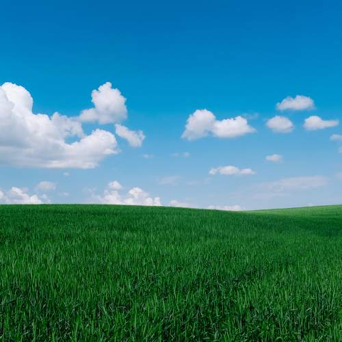 Photo #8555620