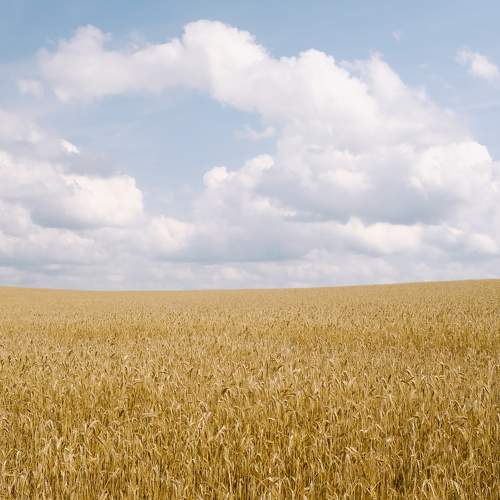 Photo #8555622