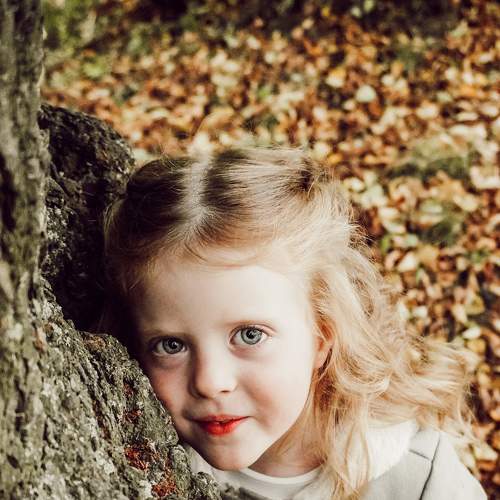 Photo #8555760