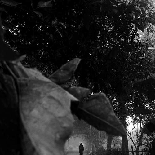 Photo #8555804