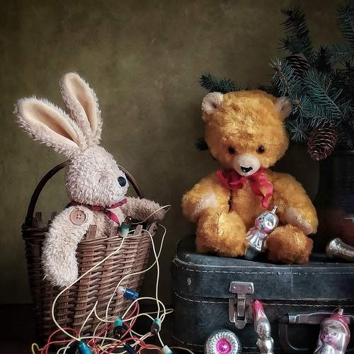 Photo #8556555