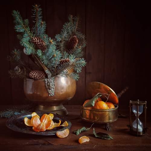 Photo #8556563