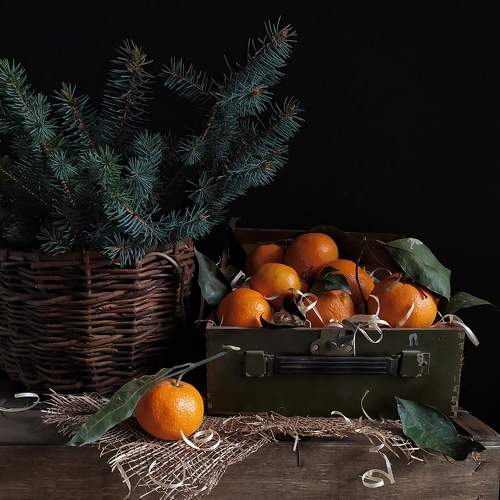 Photo #8556571