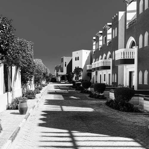 Photo #8556986