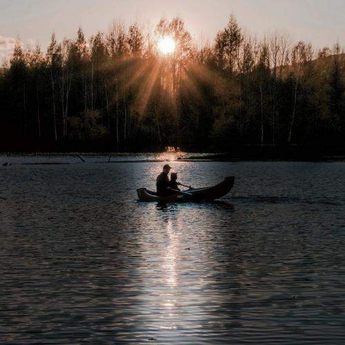 Photo #8557034