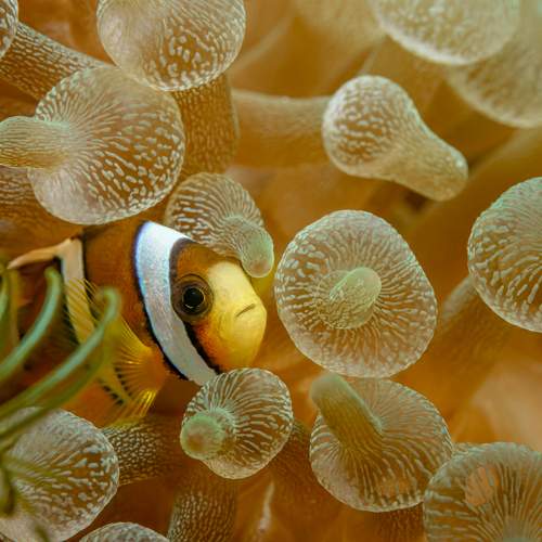Photo #8557125
