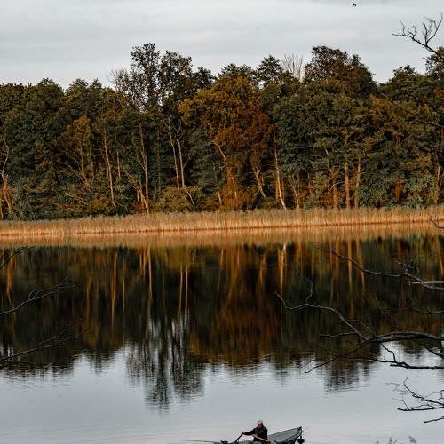 Photo #8557229