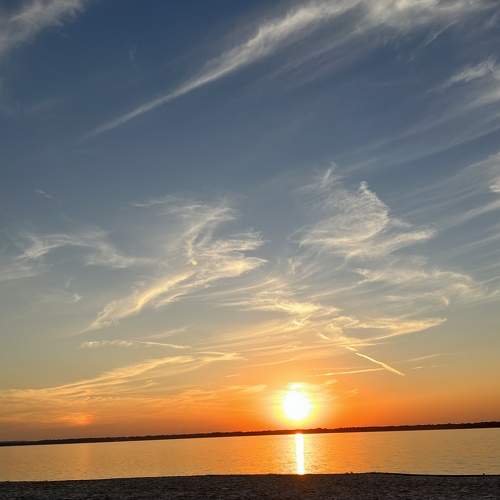 Photo #8557356