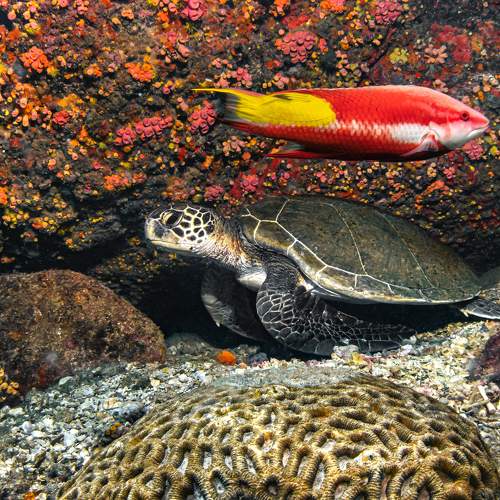 Photo #8557416