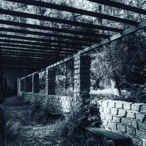 Photo #8557525