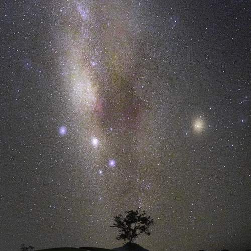 Photo #8557791