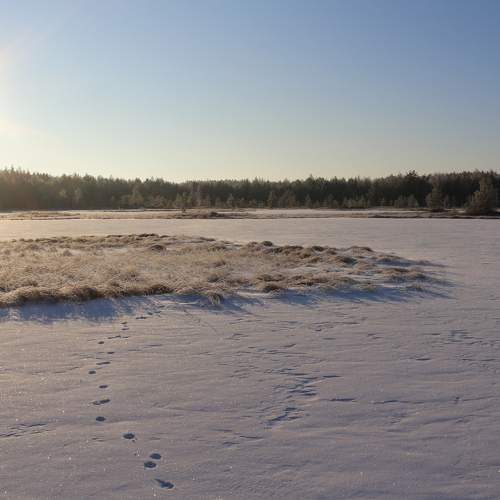 Photo #8558493