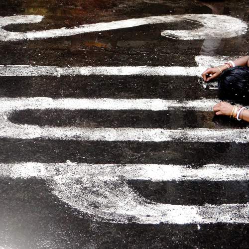 Photo #8559102