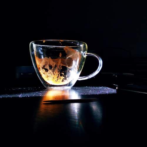 Photo #8559323