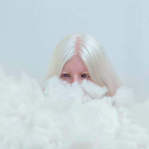 Photo #8559412
