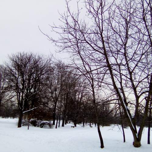 Photo #8559632