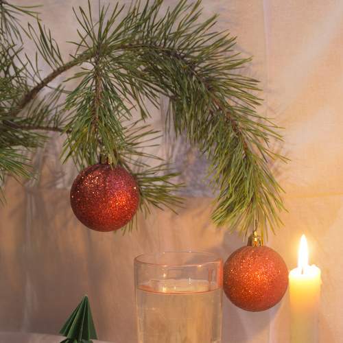 Photo #8560314