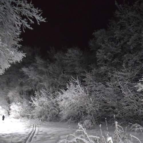 Photo #8560381
