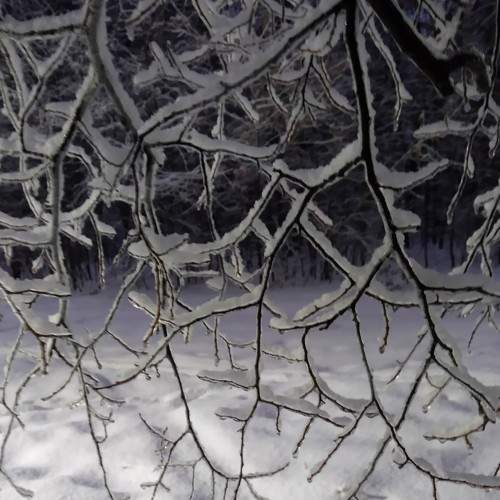 Photo #8560395