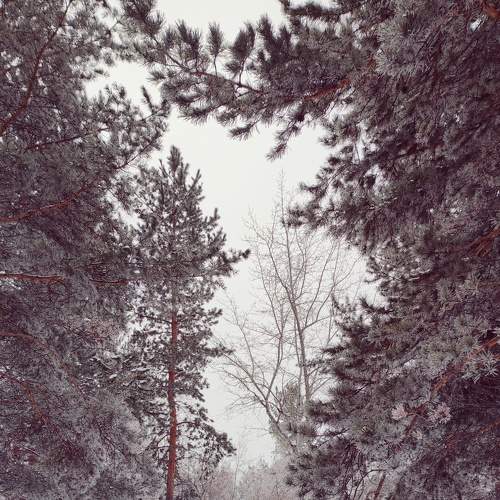Photo #8560495