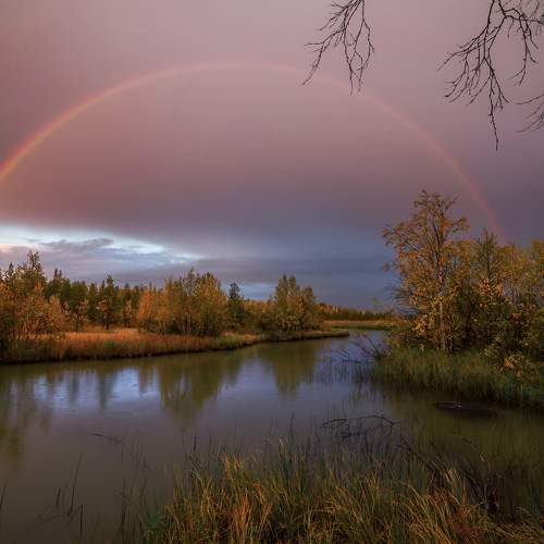 Photo #8560982