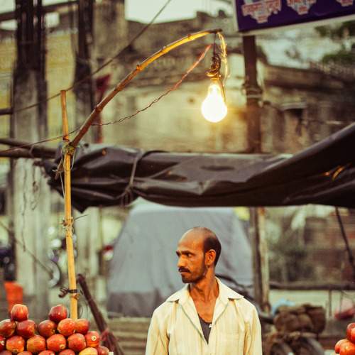Photo #8561241