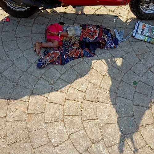 Photo #8561346