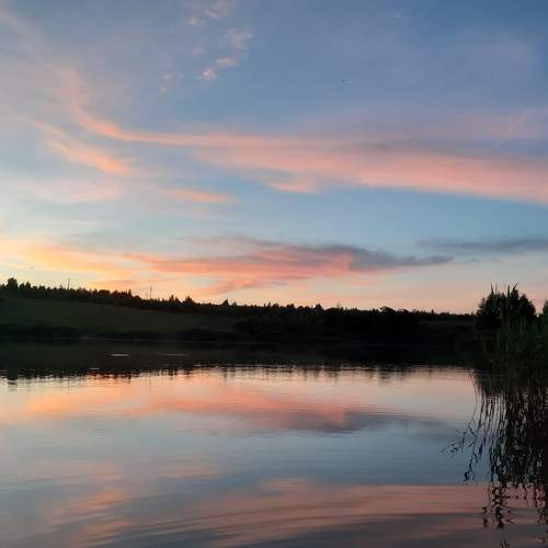Photo #8561347
