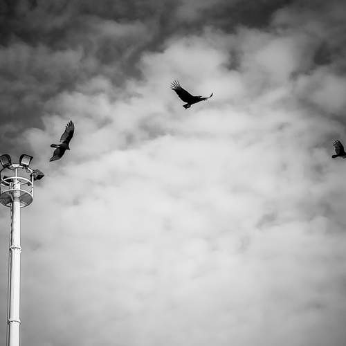 Triple vuelo