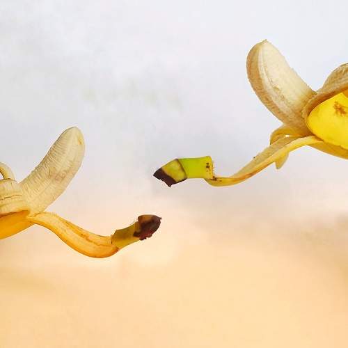 Photo #8561525