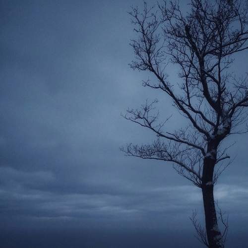 Photo #8561530