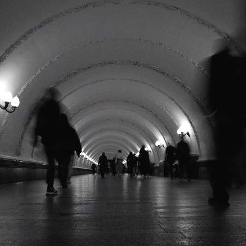 Photo #8561791