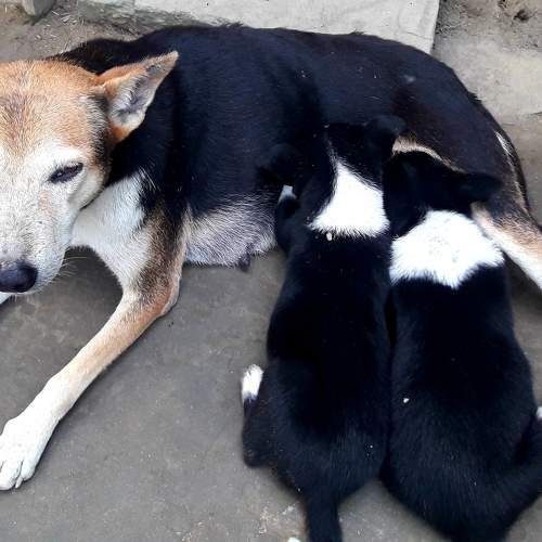 Photo #8562105