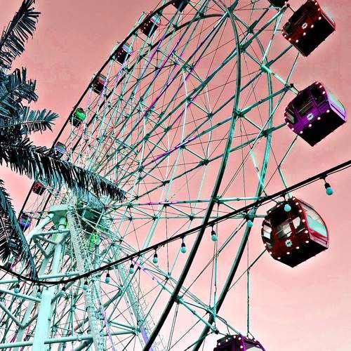 Photo #8562266