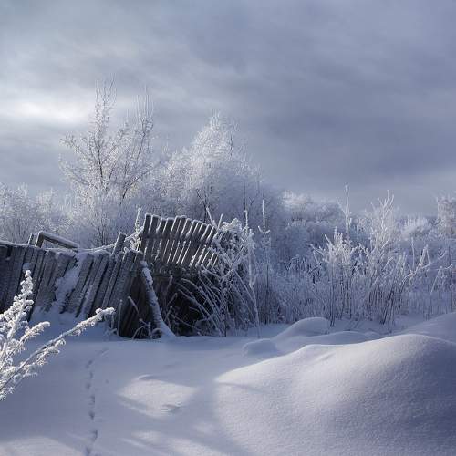 Зимний день.