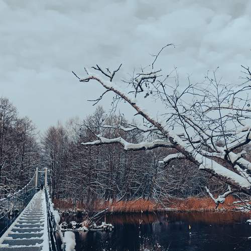 Photo #8562748